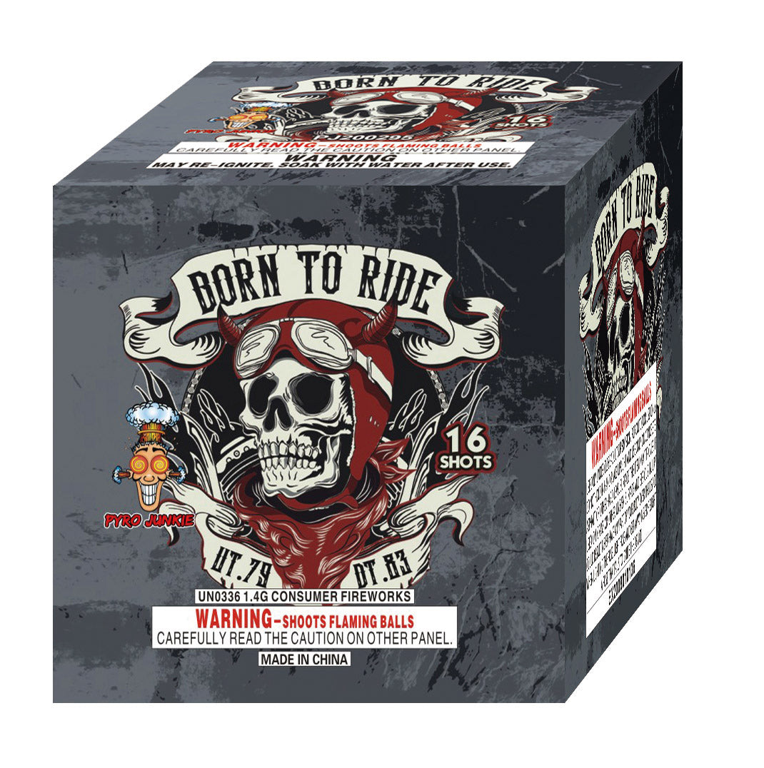 Born to Ride - 16 shots