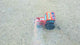 Mr. Tractor
